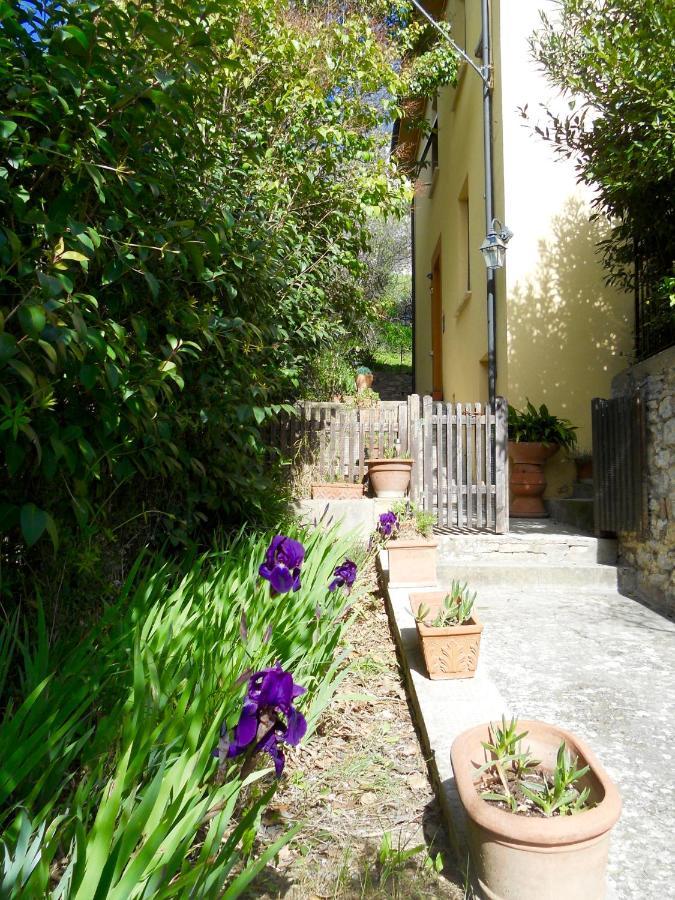 Villa Lucrezia - Dimora In Suvereto Suites&Apartments Exterior foto