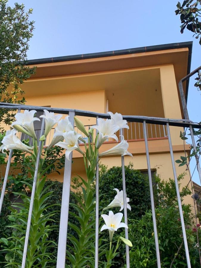 Villa Lucrezia - Dimora In Suvereto Suites&Apartments Exterior foto